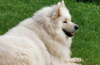 Фотогалерея - hipark.by