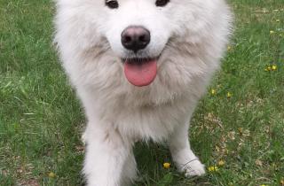 Фотогалерея - hipark.by