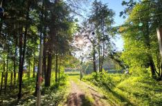 Организация мероприятий - hipark.by