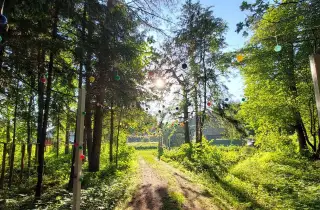 Тимбилдинг на природе - hipark.by