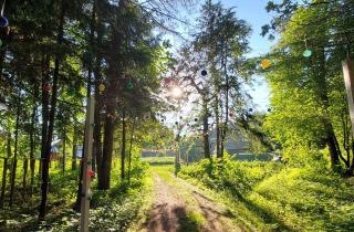 Выпускные 2026 - hipark.by