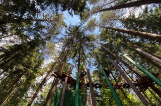 Тимбилдинг на природе - hipark.by